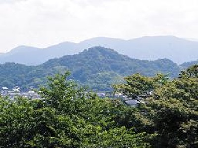 佐和山を眺める